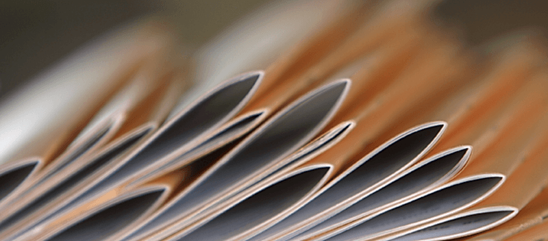 foto-pechat-metodichek_80